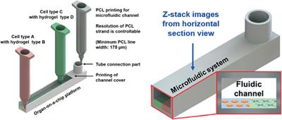 Recent Advances in Additive Manufacturing and 3D Bioprinting for Organs-On-A-Chip and Microphysiological Systems